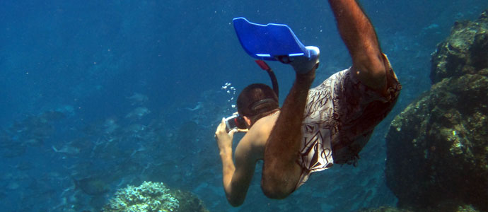 Read more about the article Snorkeling and scuba diving in Cano Island