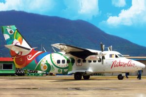 Read more about the article Palmar Sur International Airport