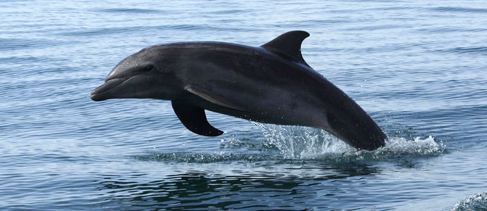 You are currently viewing Four night adventure