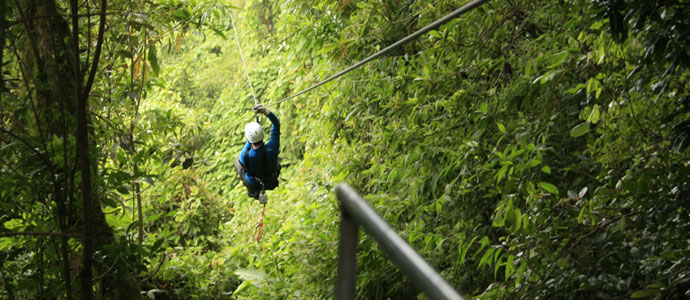 Read more about the article Canopy Tour