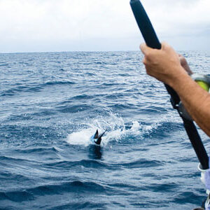 Fishing Tour