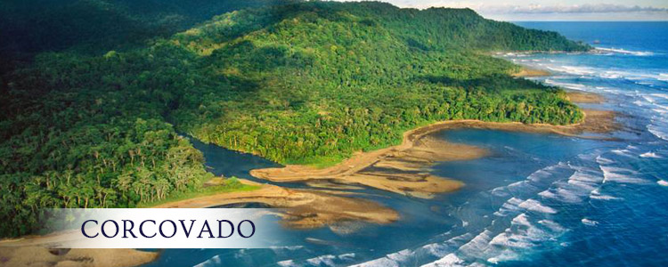 Read more about the article Corcovado National Park Costa Rica