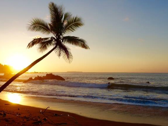 Read more about the article Bahía Drake, Corcovado, Costa Rica