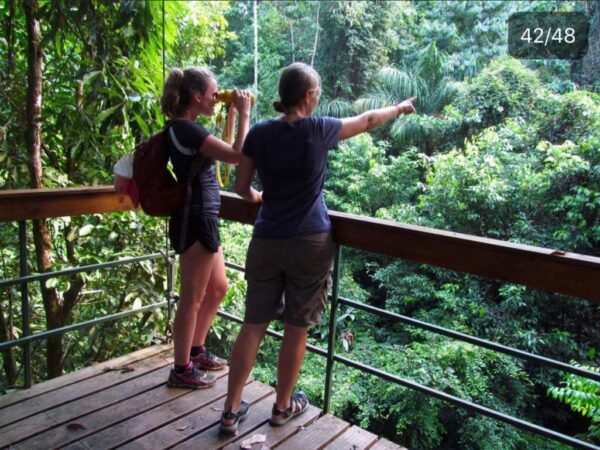 Corcovado National Park Tour - Image 4