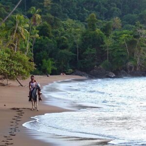 Horseback Riding Tour